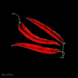Chili auf black HG.jpg
