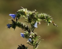 _DSC4192_DxO.jpg